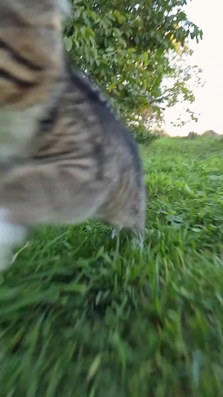 A real frame of Garry exploring his enormous grassy world